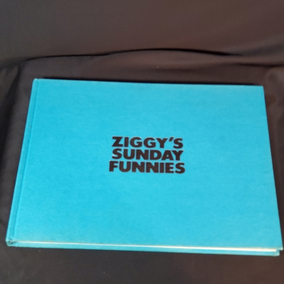 Ziggy's Best of the Seventies Book - Picture 1 of 11